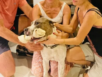 Bruno y familia
